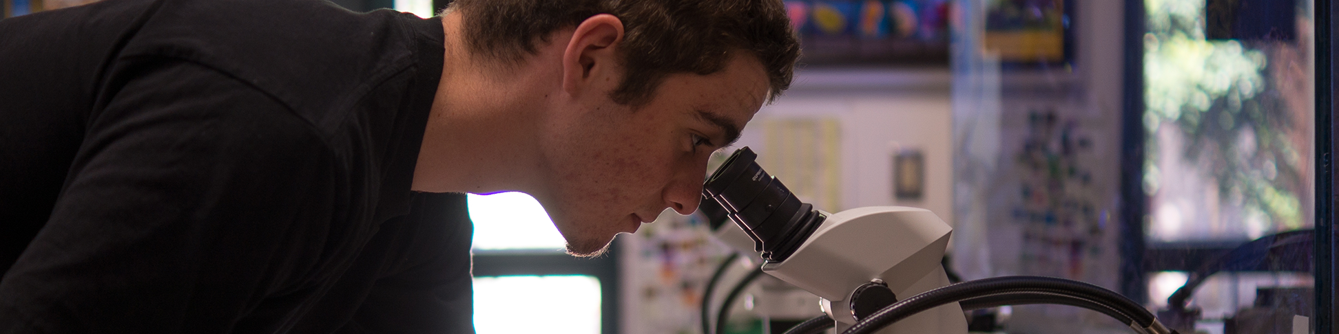 Student using microscope