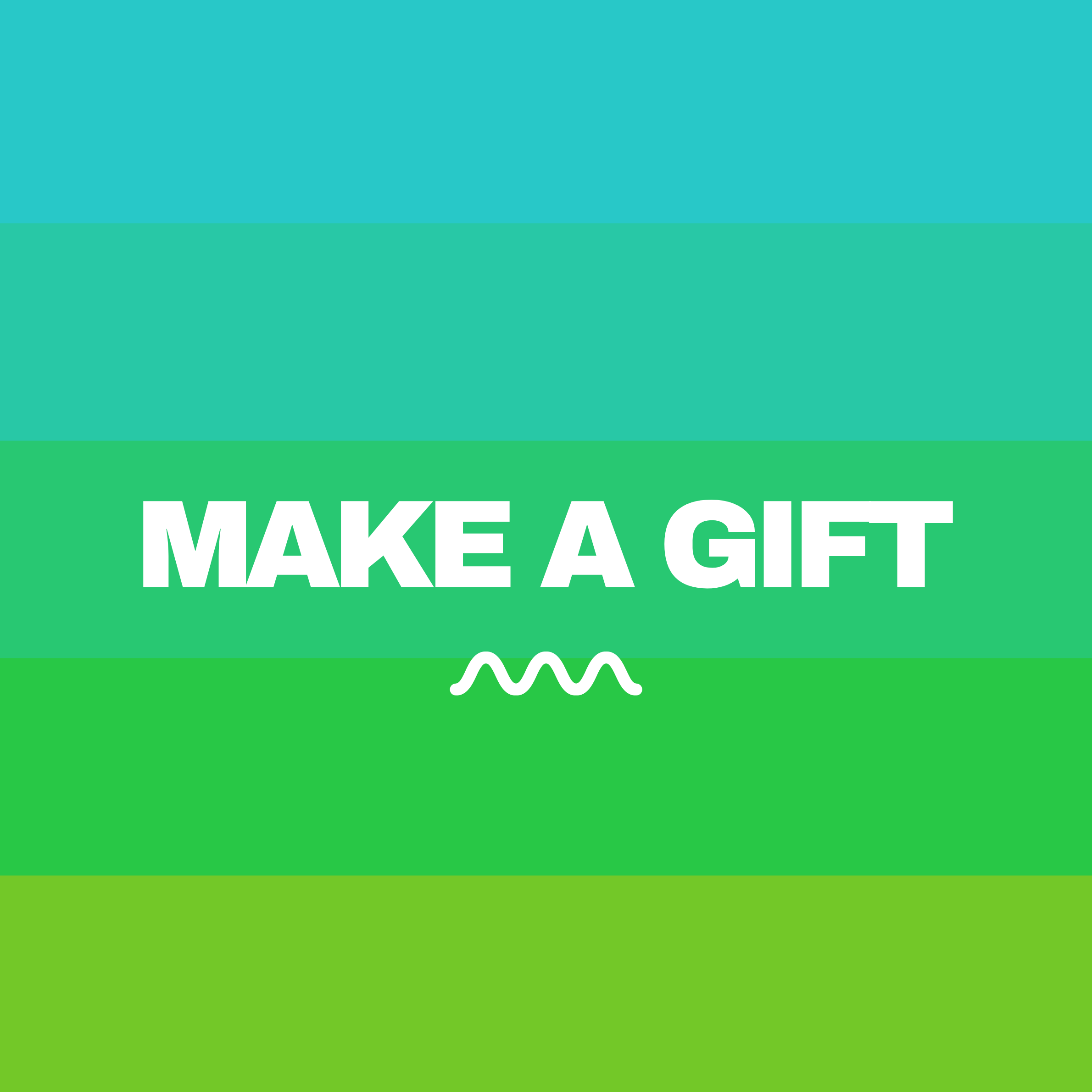 Give / Make a Gift