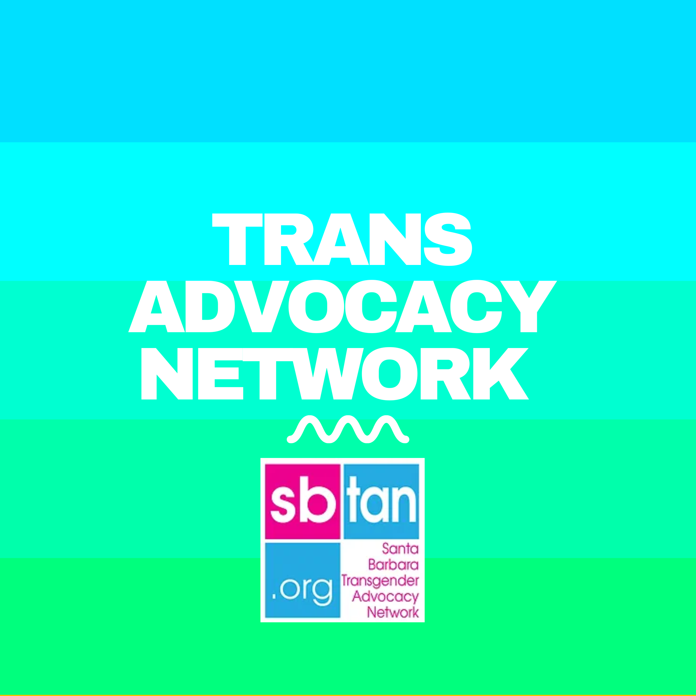 Trans Advocacy Network