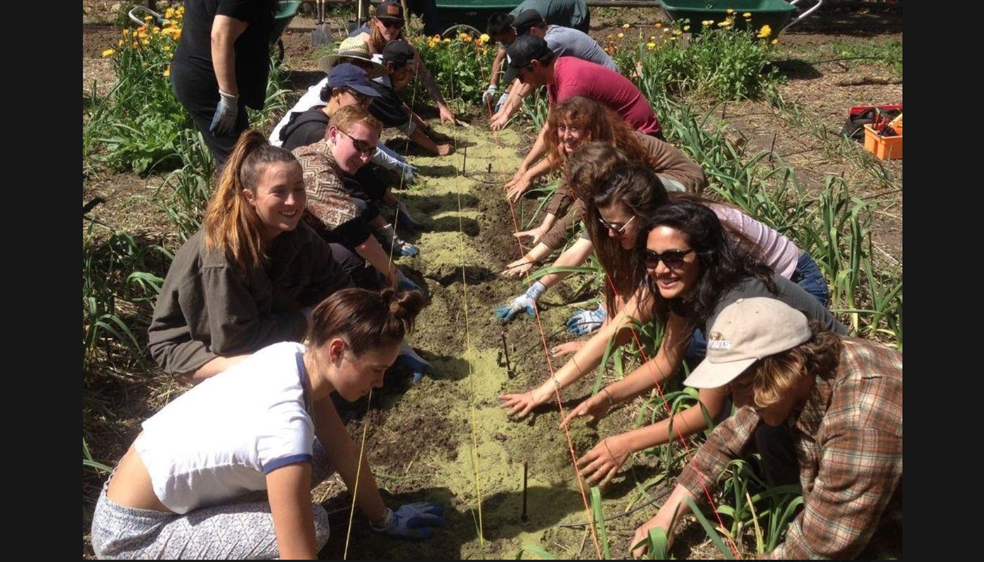 community garden